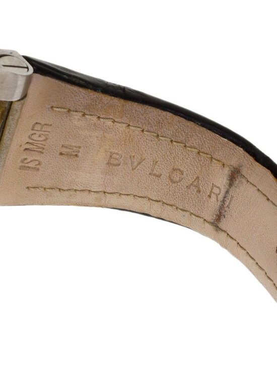 Bvlgari Ergon Watch SS Leather main image 15